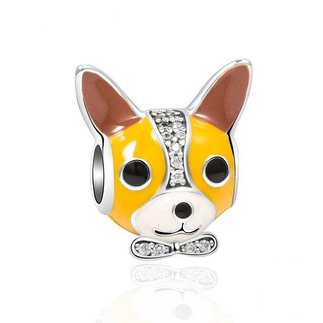 Chihuahua Charm