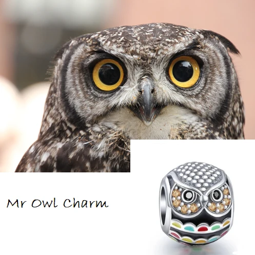 Mr Owl Charm